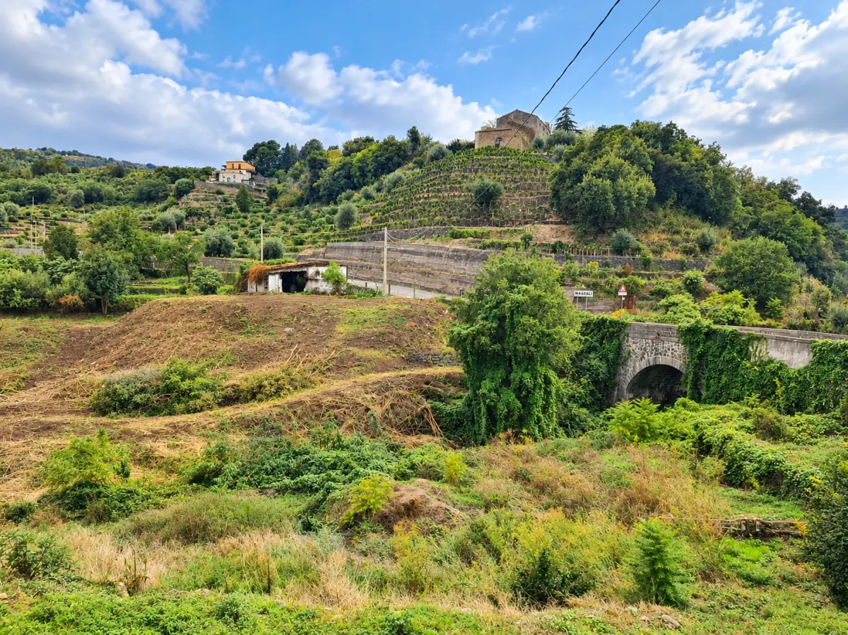 Terreno Panoramico di 7.100 mq con Rudere Catastato | Mascali – Zona Santa Venera · foto 17
