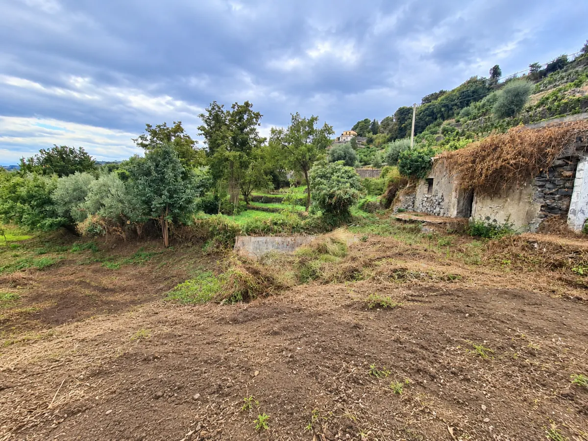 Terreno Panoramico di 7.100 mq con Rudere Catastato | Mascali – Zona Santa Venera · foto 8