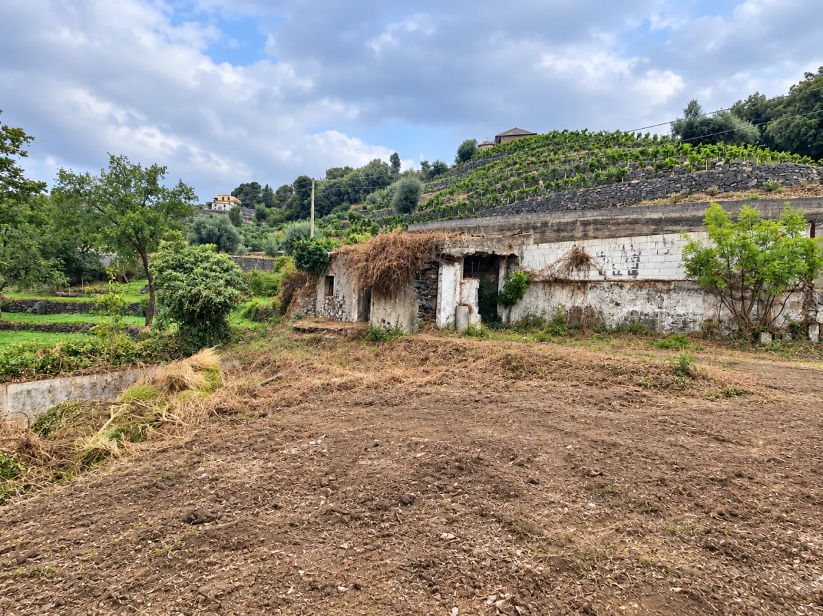 Terreno Panoramico di 7.100 mq con Rudere Catastato | Mascali – Zona Santa Venera · foto 9