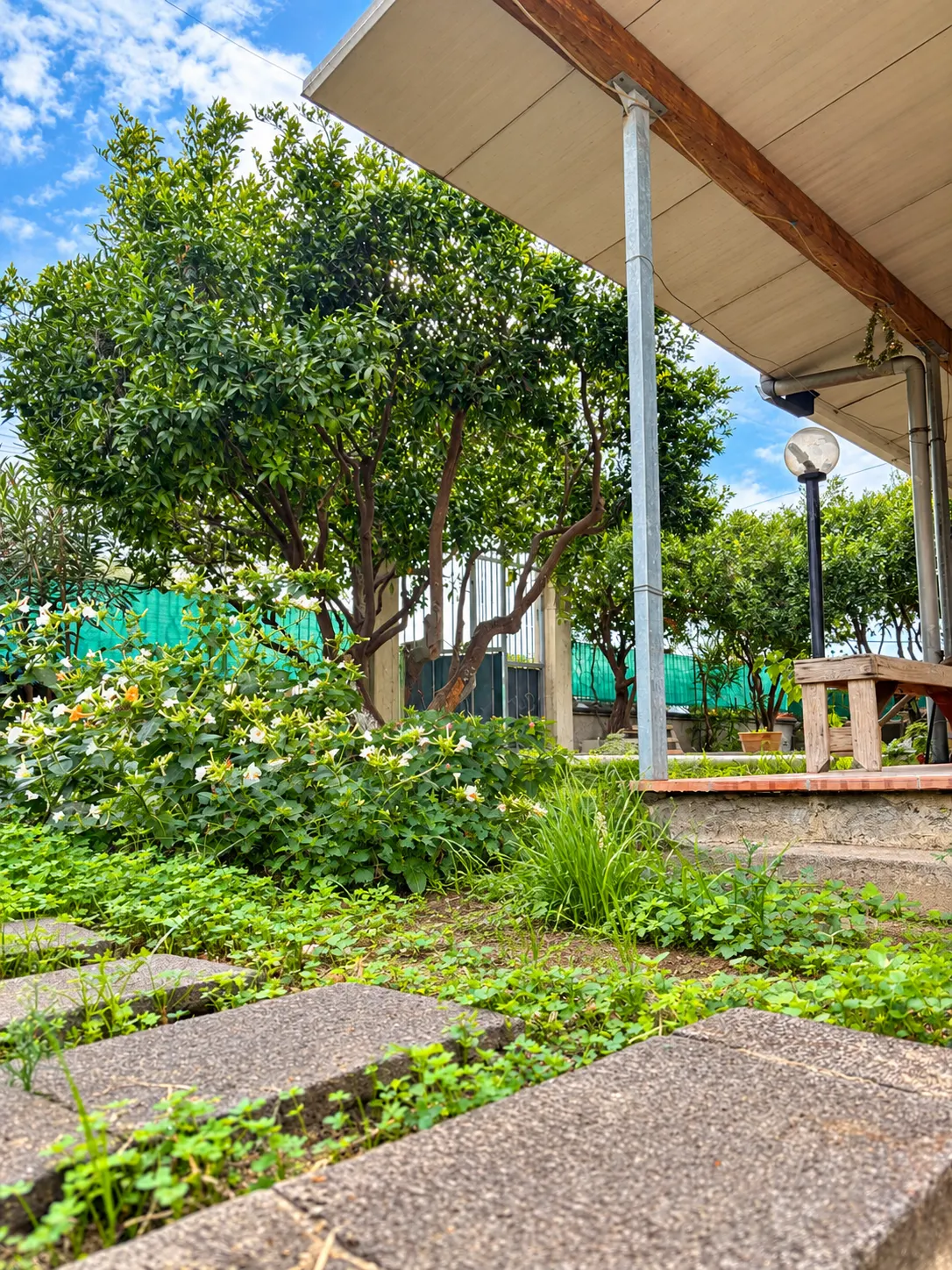 VILLA SINGOLA CON DUE APPARTAMENTI INDIPENDENTI E AMPIO GIARDINO – VACCARIZZO, CATANIA · foto 28