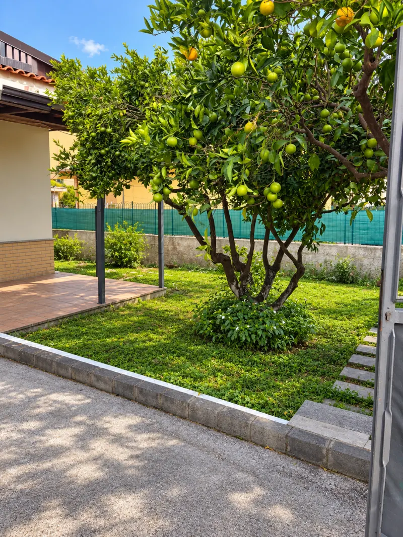 VILLA SINGOLA CON DUE APPARTAMENTI INDIPENDENTI E AMPIO GIARDINO – VACCARIZZO, CATANIA · foto 4