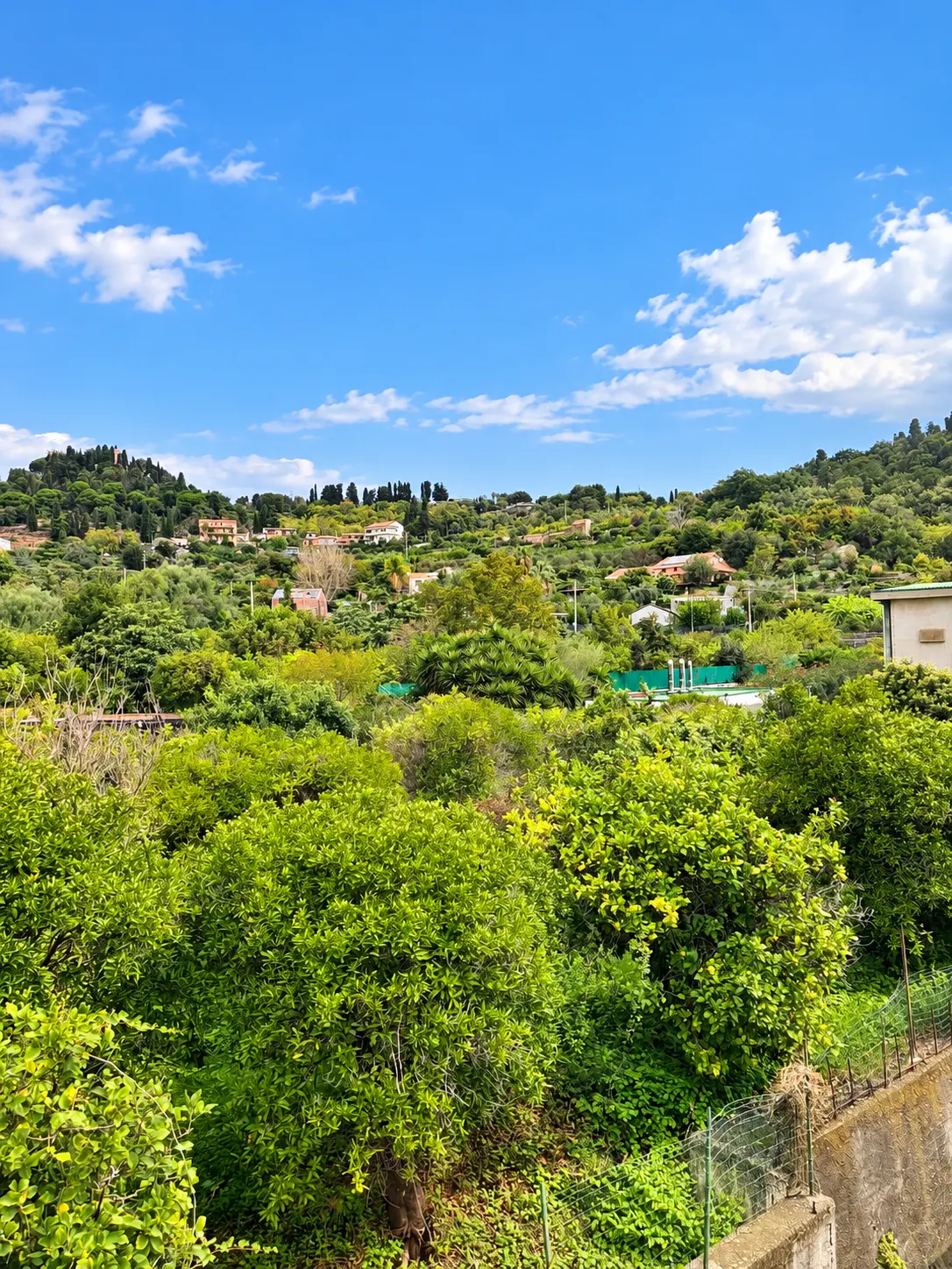 APPARTAMENTO RISTRUTTURATO CON VISTA PANORAMICA · foto 12