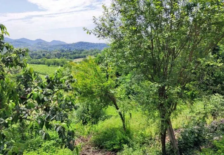 PORZIONE DI CASA CON ANNESSI ADIACENTI · foto 14