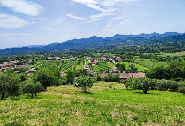 PORZIONE DI CASA CON ANNESSI ADIACENTI · foto 15